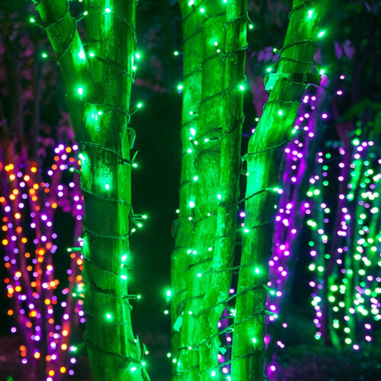 70 5mm Green LED Christmas Halloween Lights, Black Wire, 4" Spacing